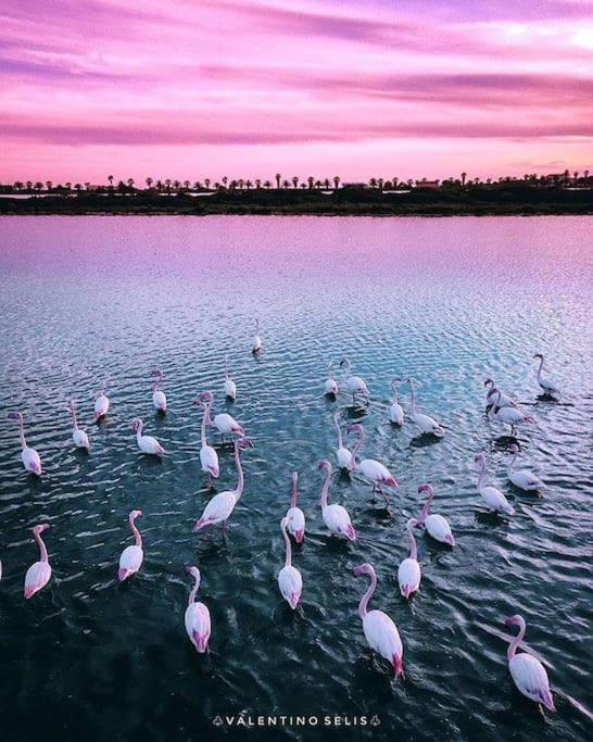Вилла Casa Sul Mare A Putzu Idu - Grazie Di Esistere Экстерьер фото
